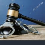 कलेक्टर ने किया 10 आरोपियों को जिला बदर